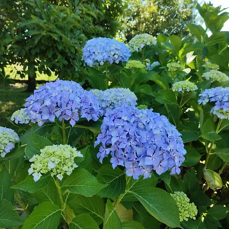 アパート Casale Cadeloro *