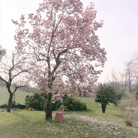 アパート Casale Cadeloro Nebbiuno