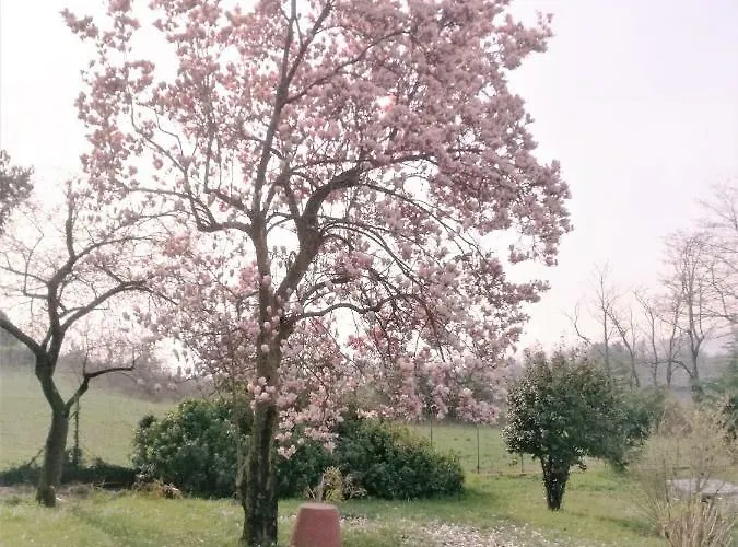 شقة Casale Cadeloro Nebbiuno